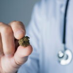 The Role of Medical Professionals in Cannabis Treatment